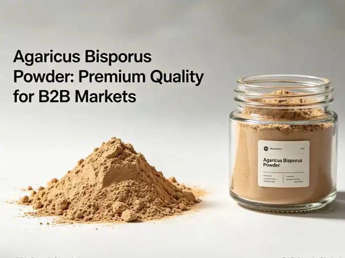 Agaricus Bisporus Powder: A Powerhouse of Natural Immune Support
